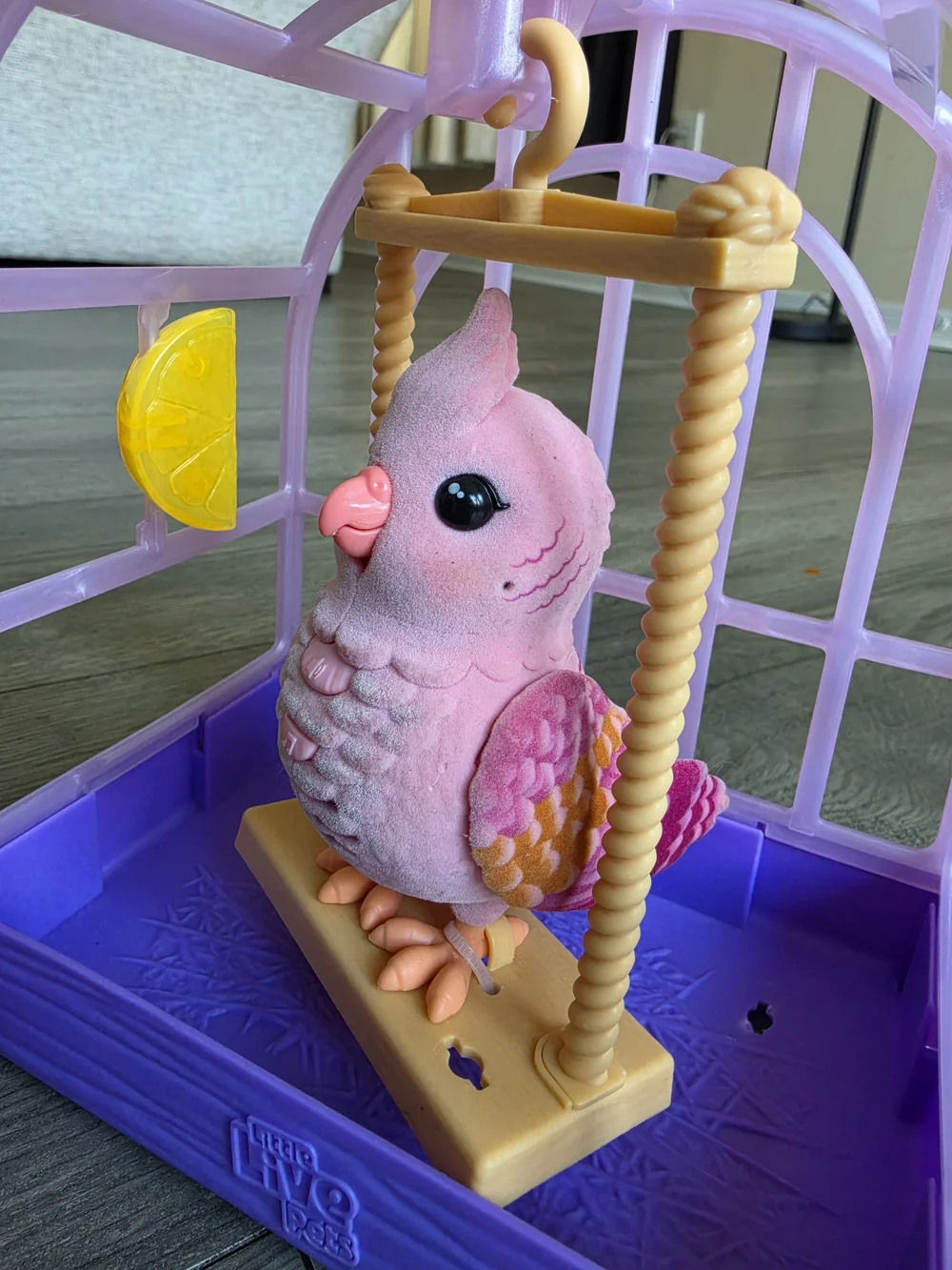 Pink Bird in Purple Play Cage